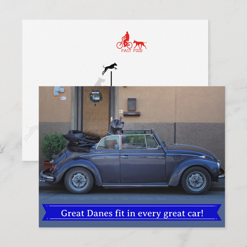 A great dog fits in every fine car